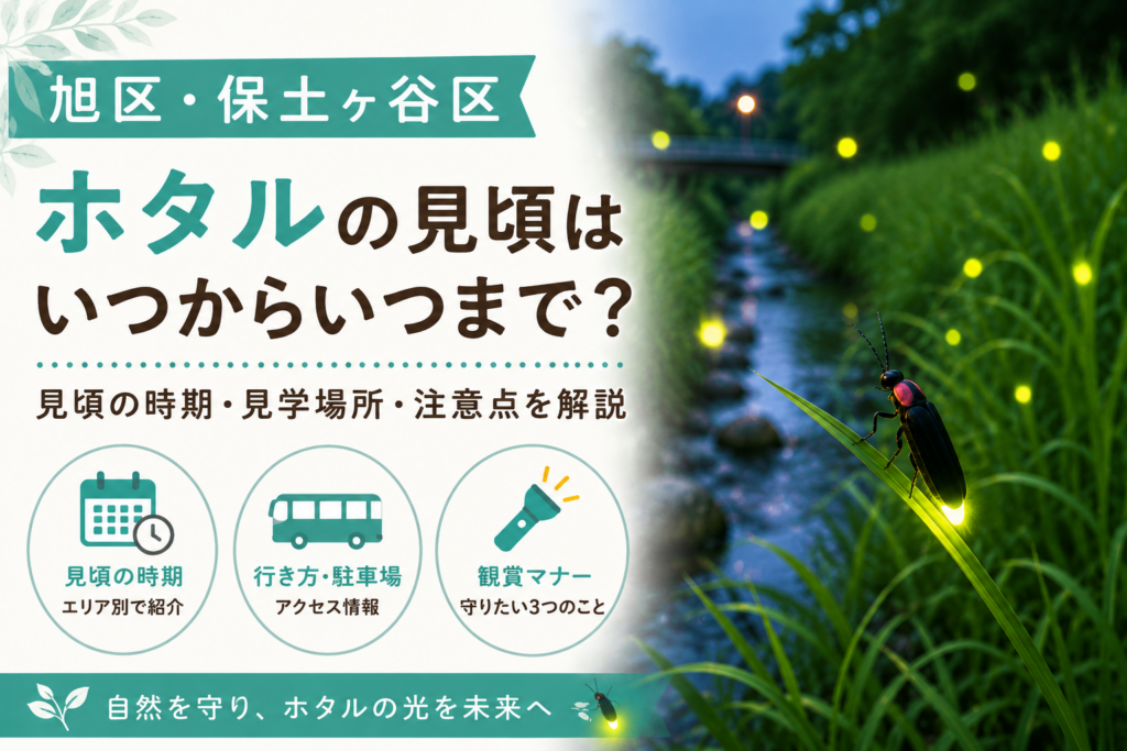 蛍アイキャッチ画像